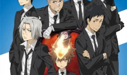 家庭教师动漫,青春的羁绊与梦想的启航